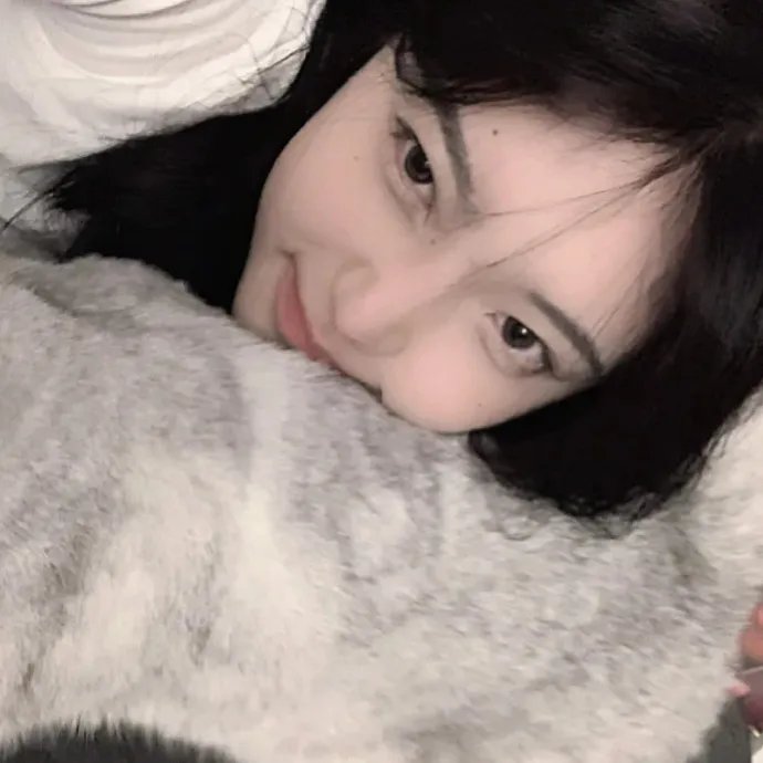星际狗狗